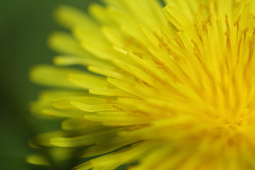 Christmas, love, for me to you, capture, text