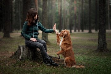 girl with a dog in the forest. Walking with a pet in nature, obedient, owner
