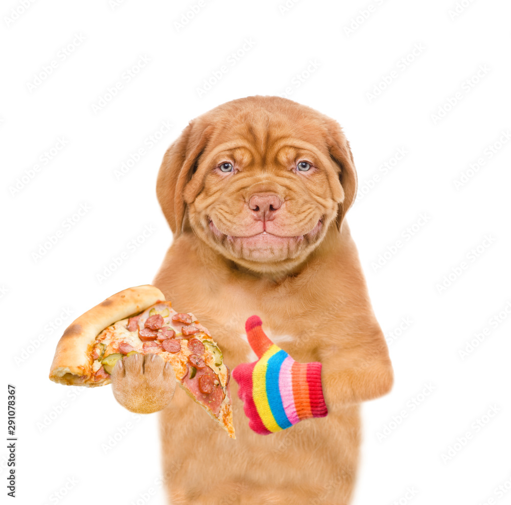 Poster smiling puppy holding pizza. isolated on white background
