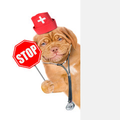 Smiling puppy in medical hat with a stethoscope on his neck and sign stop in paw behind white...