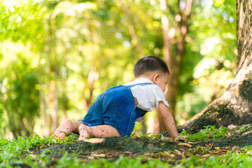 Baby boy crawling on green meadow sun light park tree