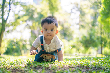 Funny baby boy crawling on green grass meadow in city park