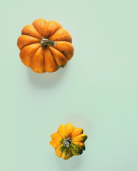 Pumpkins. Autumn concept.