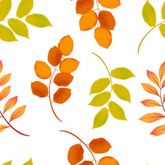 Autumn seamless pattern with falling leaf