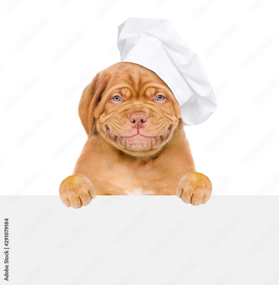 Poster Smiling dog in chef's hat above empty white banner. isolated on white background