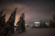 Night winter landscape with snowy forest
