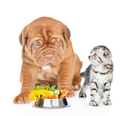 Baby kitten and mastiff puppy with  bowl of vegetables look at each other. isolated on white background