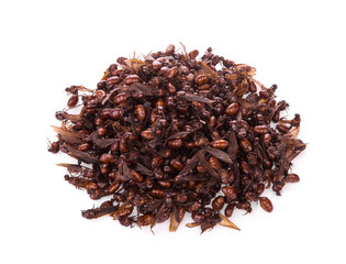 pile of male subterranean ants isolated on white background, tropical food,top view, flat lay