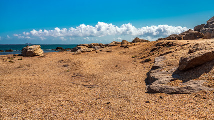 Rock fragments on a wild beach