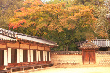 Fototapeta na wymiar Beautiful Autumn Scenery inside Biwon Secret Garden in Changdeokgung Palace, Seoul, South Korea (Characters above the gate: Tongbik Gate)