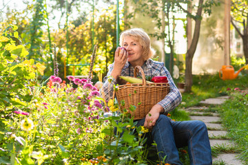 Woman working in the garden in a bed of vegetables