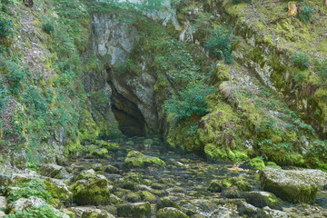 Source du Doubs Mouthe Franche Comté France with Green Plants