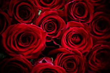 50本の薔薇の花束