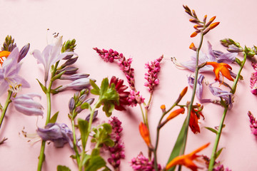 close-up of twigs of wildflowers on pink background