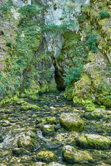 Source du Doubs Mouthe Franche Comté France with Green Plants