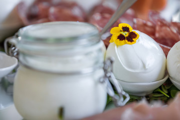 Close up of a gourmet composition consisting in mozzarella cheese topped with a flower, among other delicacies