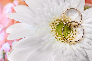 Obraz na płótnie Canvas Two golden wedding rings lying on a white daisy blossom agains a pink bokeh background