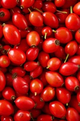 Rosehip berry  background. Healthy berries.Natural source of vitamin C.Red berries macro