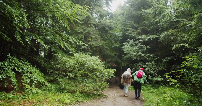 Eco volunteers walking in the woods and picking up litter. Two hardworking girls collecting trash into bags cleaning the environment during rain.
