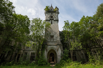 Fototapeta na wymiar An abandoned and crumbling castle is surrounded by vegetation; the only emerging element is the ancient clocktower