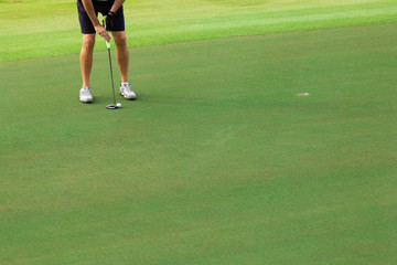 Obraz premium Golfer putting golf ball on the green golf,