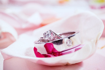 Wedding rings on .Rose petals