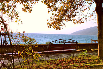 Park bench with sea view in the fall. Gagra, Abkhazia