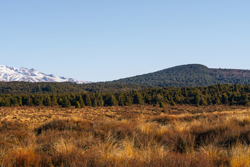 Tongariro National Park New Zealand