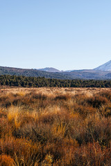 Tongariro National Park New Zealand