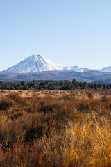 Tongariro National Park New Zealand