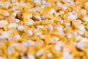 Blur shot of corn seed pile rotating on the turntable