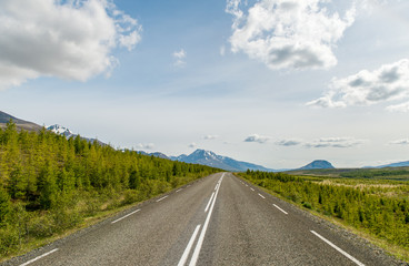 Fototapeta premium Icelandic road