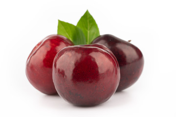 ripe red plum on white background
