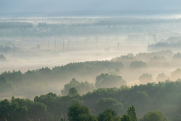 Fog on sunrise