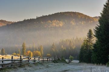 Natural autumn landscapes with trees covered with yellow and red leaves and morning mountain fogs.