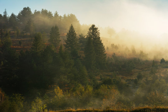 Natural autumn landscapes with trees covered with yellow and red leaves and morning mountain fogs.