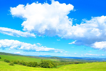 Obraz premium 美しい北海道の風景