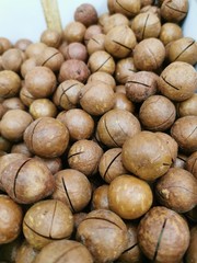 Macadamia nuts in shells, unpeeled. Close-up photo