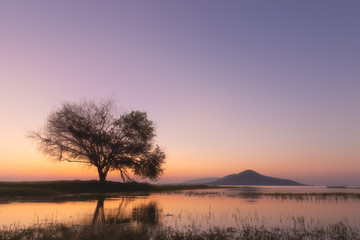 Obraz premium Trees in the flooded during sunset Pa Sak Jolasid dam, Thailand
