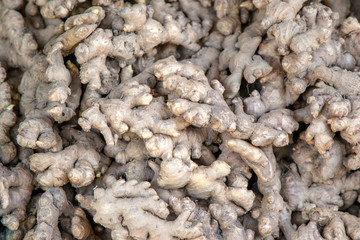 Fresh organic ginger on fresh market in thailand