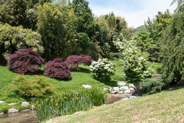 Dans le parc de la Bambouseraie d'Anduze