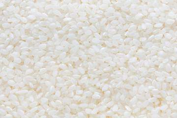 Uncooked Japonica Rice texture background
