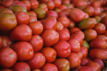 tomatoes at the market