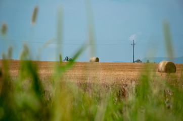 Straw bales, haystack on a field after summer harvest