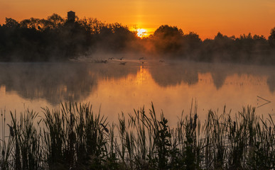 Morning scenery on a cozy lake with beautiful fogs