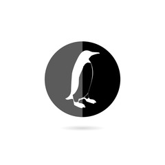 Penguin icon. Simple illustration of penguin icon for web