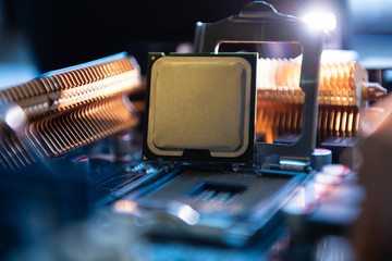 Computer engineer maintenance computer CPU hardware upgrade of motherboard component, PC repair by technician and industry support installation CPU on socket with flare