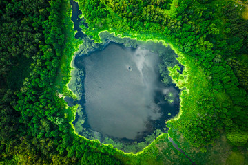 Amazing green algae on the lake in summer, flying above