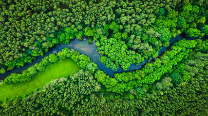 River and green forest in Tuchola natural park, aerial view - obrazy, fototapety, plakaty