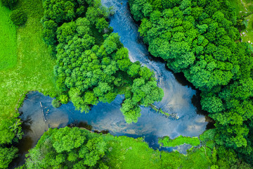 Green forest and river, aerial view of Tuchola national park - obrazy, fototapety, plakaty
